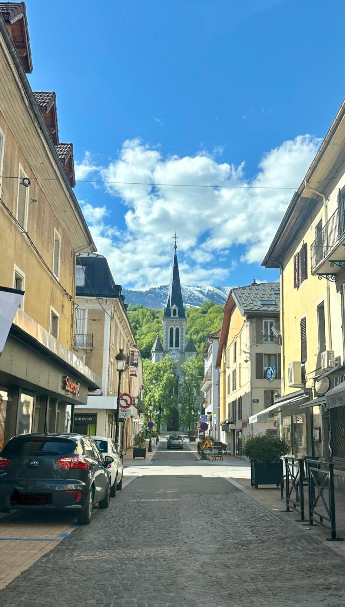 Le Refuge T3 Centre Ville 63M2 Pied Des Montagnes Альбервіль Екстер'єр фото